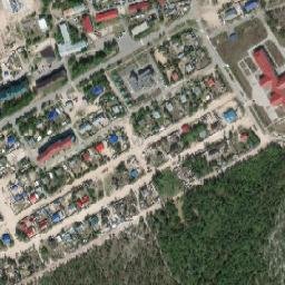 Russkinskiye map(satellite map)