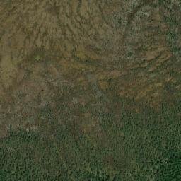 Nyandomskiy Rayon map(satellite map)