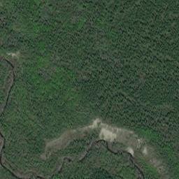 Kenny Lake Alaska High Resolution Satellite Map