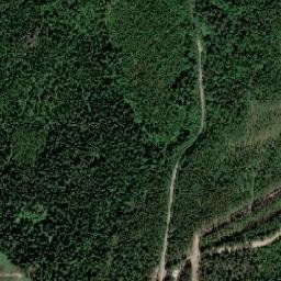 Pitkyarantskiy Rayon map(satellite map)