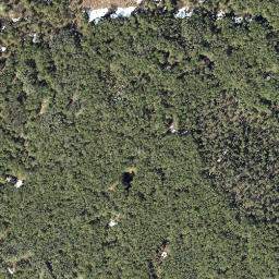 Susitna Alaska High Resolution Satellite Map