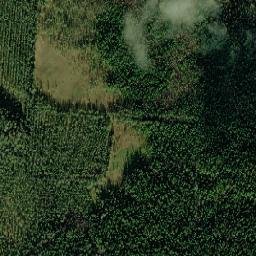 Prionezhskiy Rayon map(satellite map)
