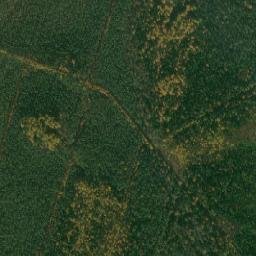 Kargopol’skiy Rayon map(satellite map)