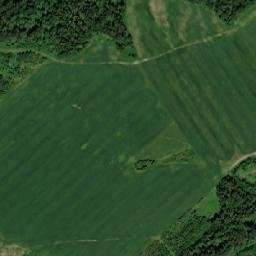 Ust’yanskiy Rayon map(satellite map)