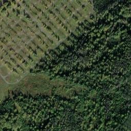 Elmendorf Air Force Base map(satellite map)