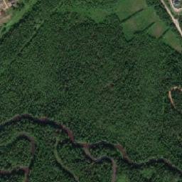 Malinovskiy map(satellite map)
