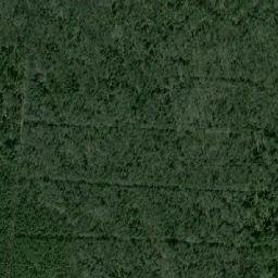 Vytegorskiy Rayon map(satellite map)