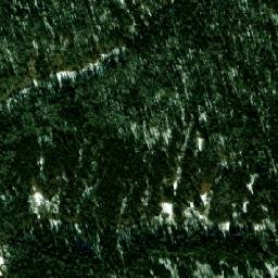 Velikoustyugskiy Rayon map(satellite map)