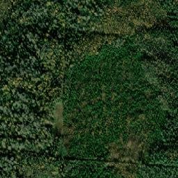 Verkhovazhskiy Rayon map(satellite map)