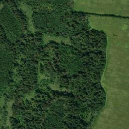 Luzskiy Rayon map(satellite map)