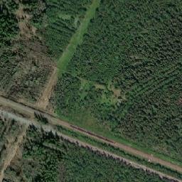 Kurortnyy map(satellite map)
