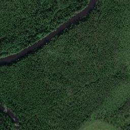 Salym map(satellite map)