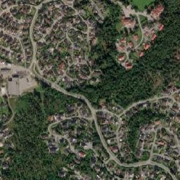 Auli map(satellite map)