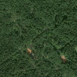 Sosnovka map(satellite map)