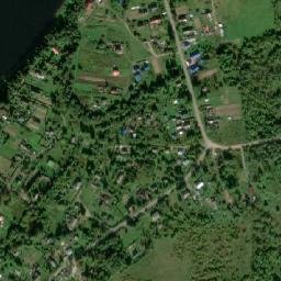 Kolchanovo map(satellite map)