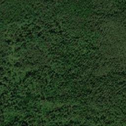 Syamzhenskiy Rayon map(satellite map)