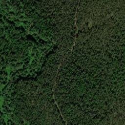 Kichmengsko-Gorodetskiy Rayon map(satellite map)