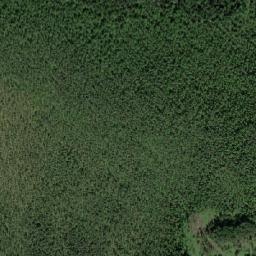 Ust’-Kubinskiy Rayon map(satellite map)