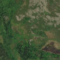 Dillingham Census Area map(satellite map)