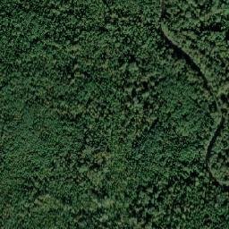 Volkhovskiy rayon map(satellite map)