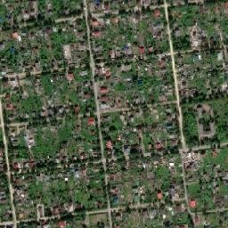 Krasnyy Bor map(satellite map)