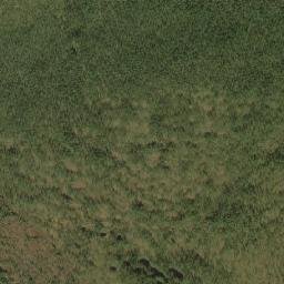 Kingiseppskiy Rayon map(satellite map)