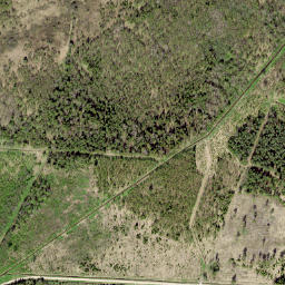 Viru-Nigula vald map(satellite map)