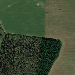 Volosovskiy Rayon map(satellite map)