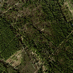 Harku vald map(satellite map)