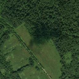 Cherepovetskiy Rayon map(satellite map)