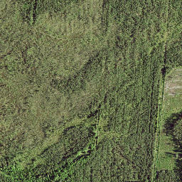 Anija vald map(satellite map)