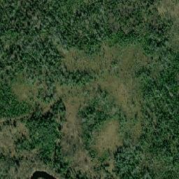 Kholm map(satellite map)