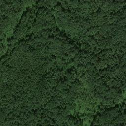 Mezhdurechenskiy Rayon map(satellite map)