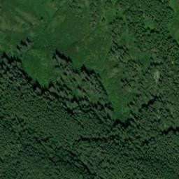 Haines Borough map(satellite map)