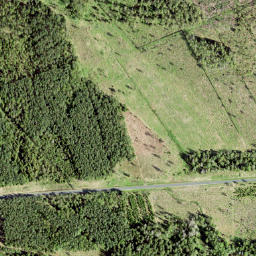 Vinni vald map(satellite map)