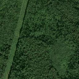 Slantsevskiy Rayon map(satellite map)