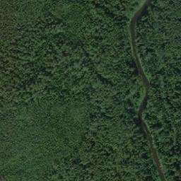 Soligalichskiy Rayon map(satellite map)