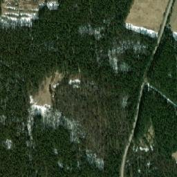 Khvoyninskiy Rayon map(satellite map)
