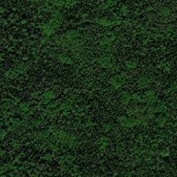 Vokhomskiy Rayon map(satellite map)