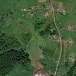 Kostino map(satellite map)