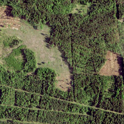 Kehtna vald map(satellite map)