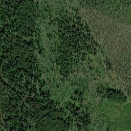 Lyubytinskiy Rayon map(satellite map)