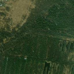 Ustyuzhenskiy Rayon map(satellite map)