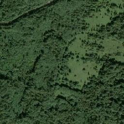 Gdovskiy Rayon map(satellite map)