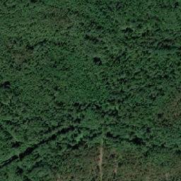 Luzhskiy Rayon map(satellite map)
