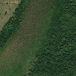 Malovisherskiy Rayon map(satellite map)