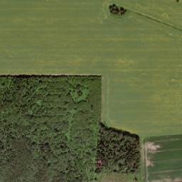 Türi vald map(satellite map)