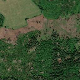 Ryd map(satellite map)