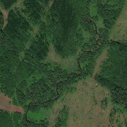 Pervomayskiy Rayon map(satellite map)