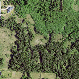 Liiva map(satellite map)